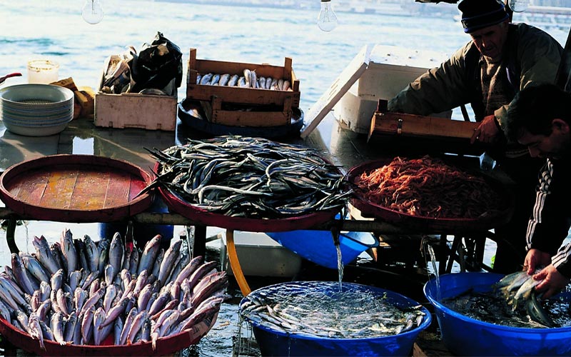 eat fish at bosphorus