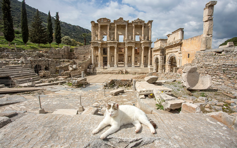 history of ephesus