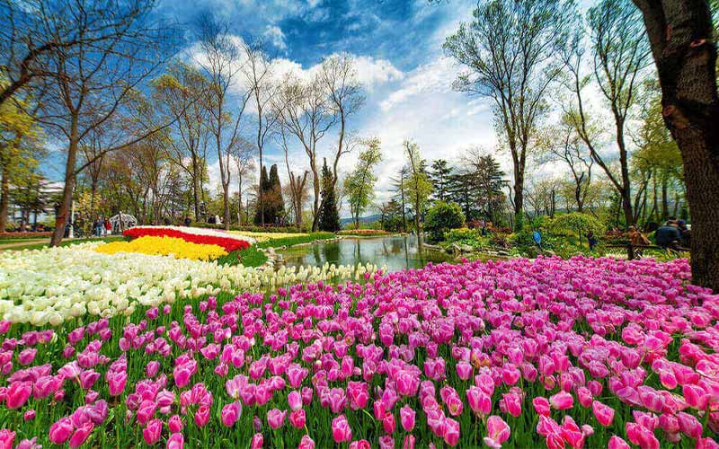 tulip festival turkey